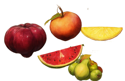 fruit salad